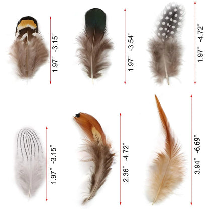 180PCS Assorted Feathers, 6 Styles Natural Chicken Feathers for DIY Crafts Earring Wings Dream Catcher Carnival Party Decoration